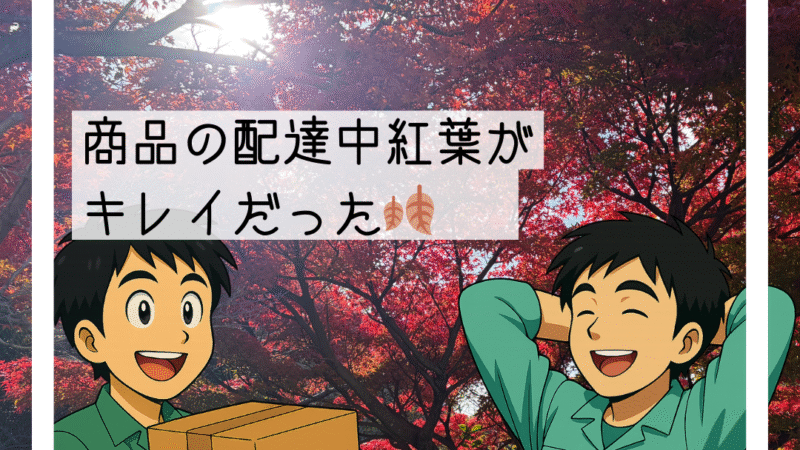 🍂川西市でお気に入りの紅葉スポットへ寄り道🍂