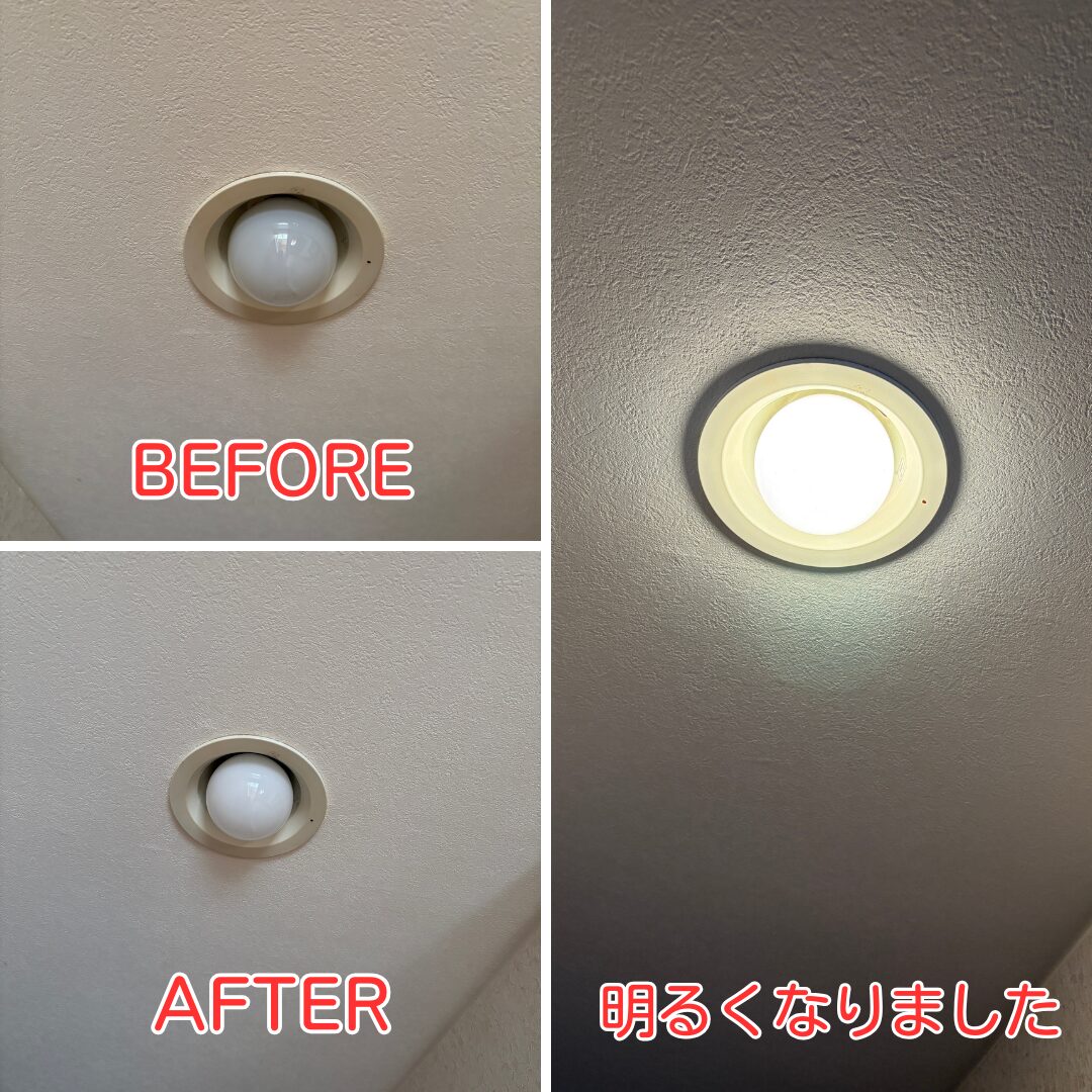 çªåå·çº å蟌åç
§æ LEDé»çäº€æ æœå·¥ååŸ