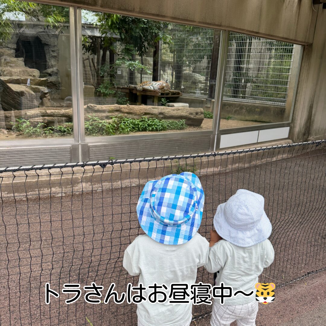 神戸王子動物園 トラ舎 子ども2人見学中
