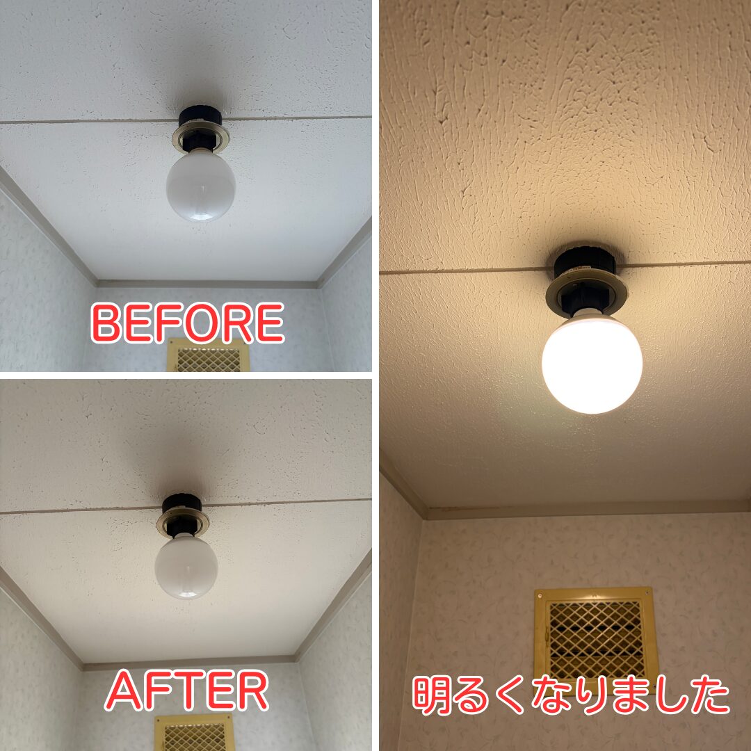 çªåå·çº å»äžç
§æ LEDé»çäº€æ æœå·¥ååŸ