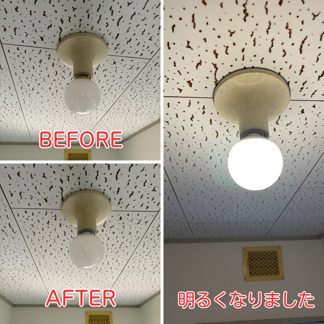 çªåå·çº 宀å
ç
§æ LEDé»çäº€æ æœå·¥ååŸ